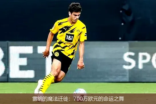 雷纳的魔法迁徙:700万欧元的命运之舞