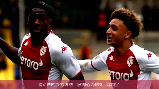 迪萨西的沙特诱惑:欧洲心为何如此坚定?